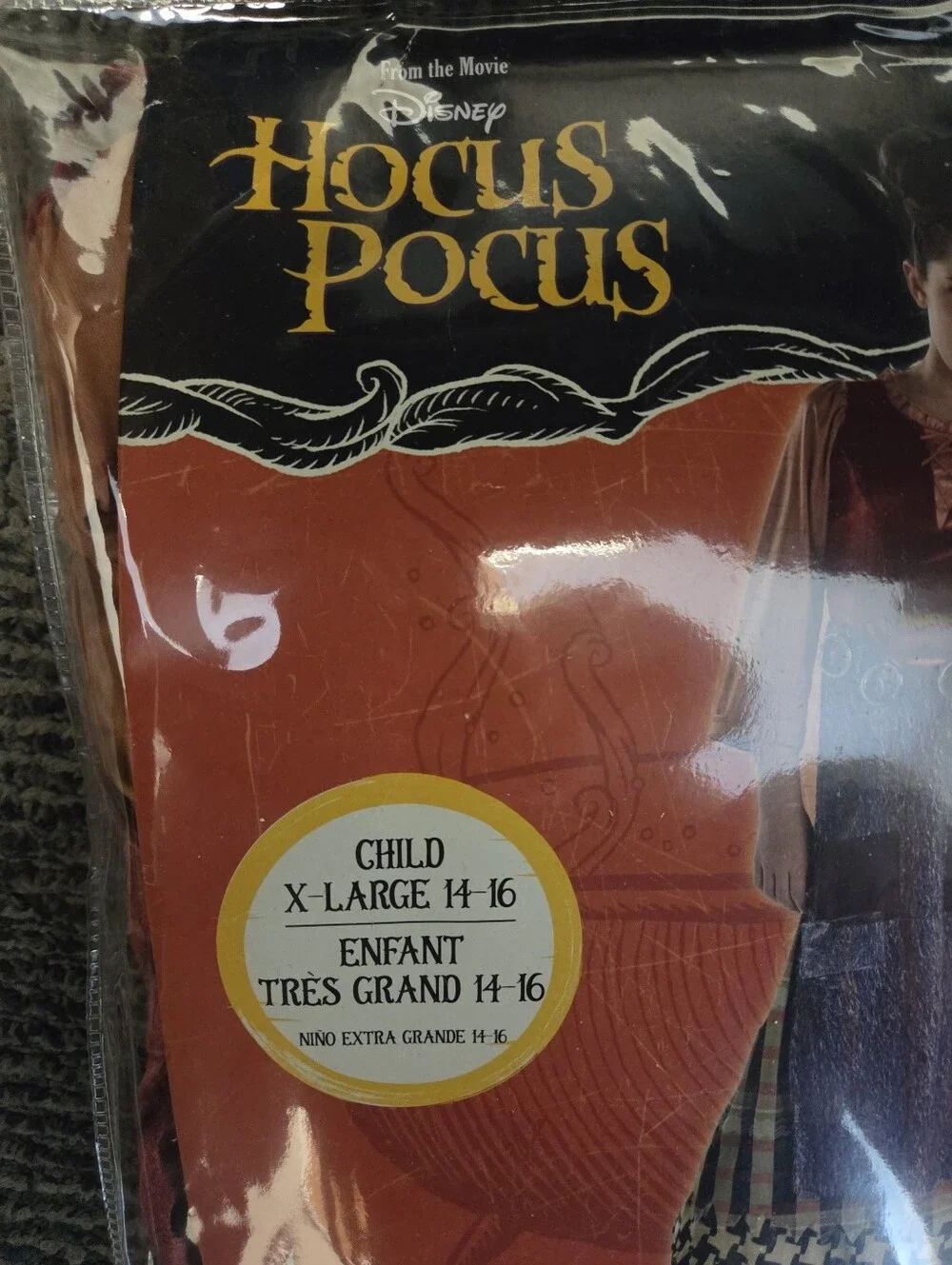 Mary Sanderson Costume from Hocus Pocus--Girls Size XL(14-16)-NWT-Halloween Fun